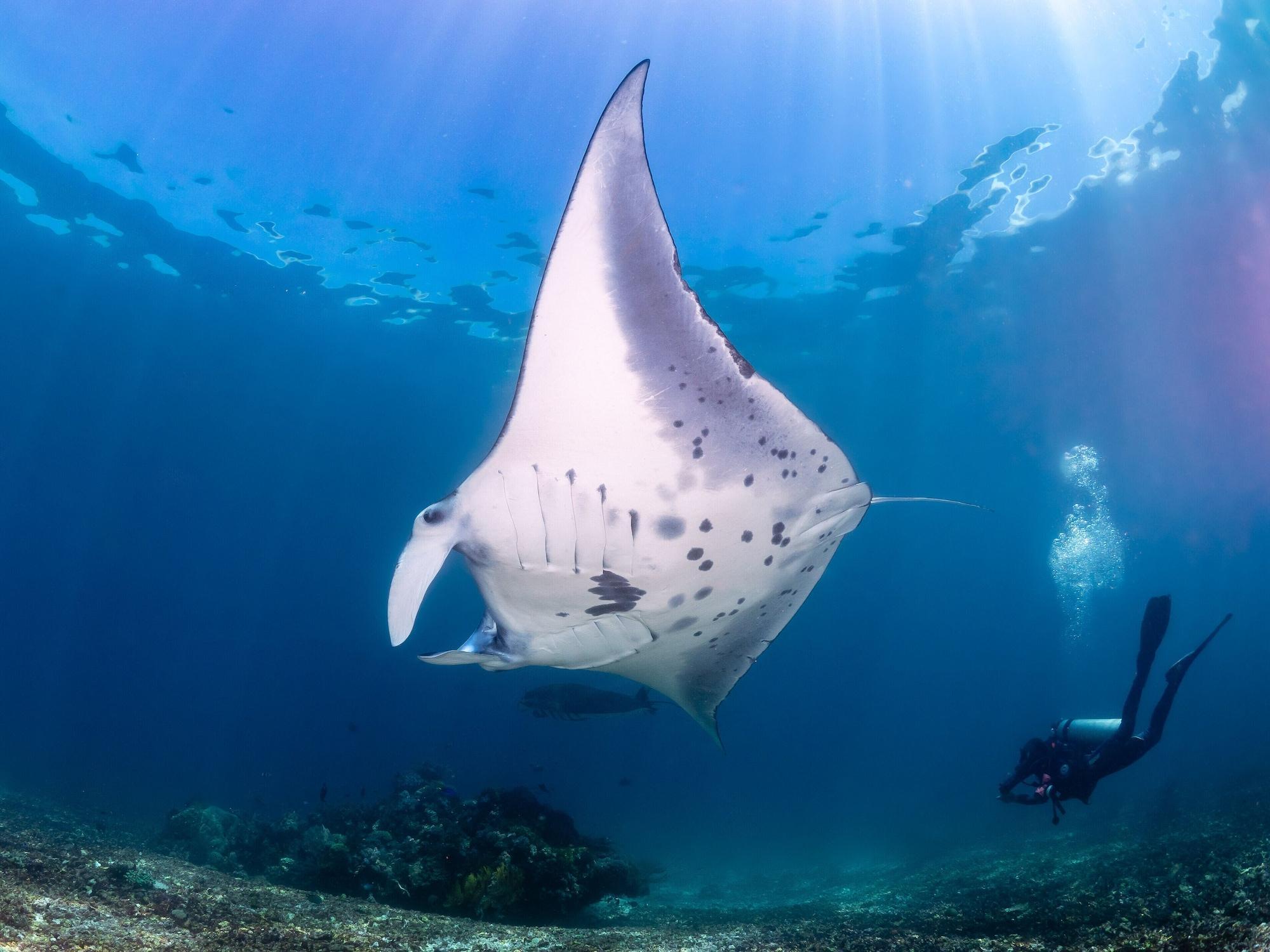 Dragon Dive Komodo Dive Resort Labuan Bajo Exterior foto